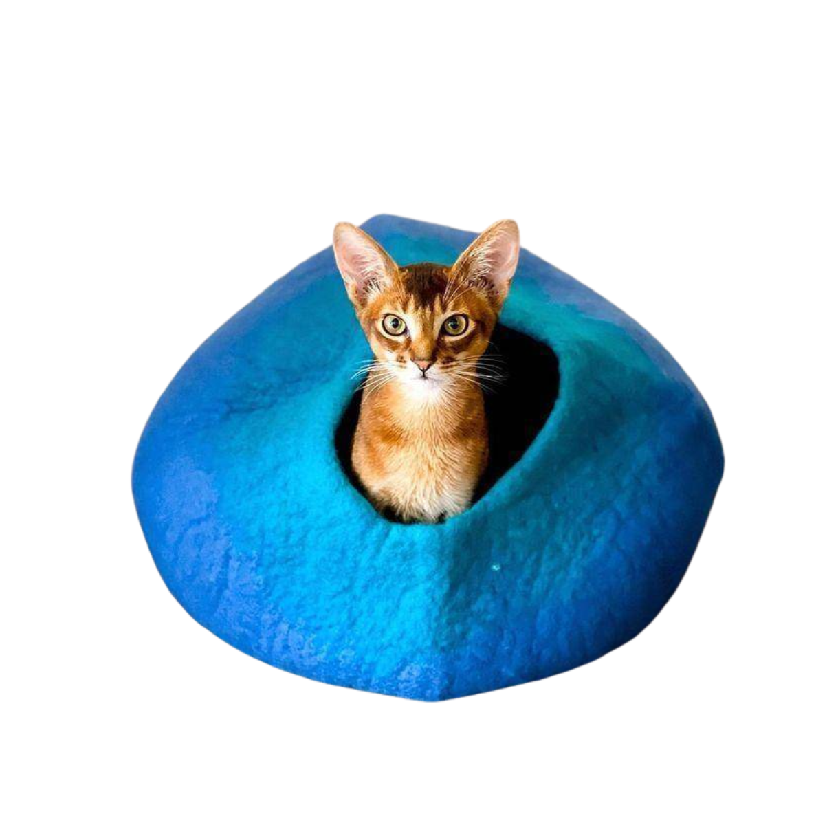 ⾺⽑貓窩 Wool Cat Cave