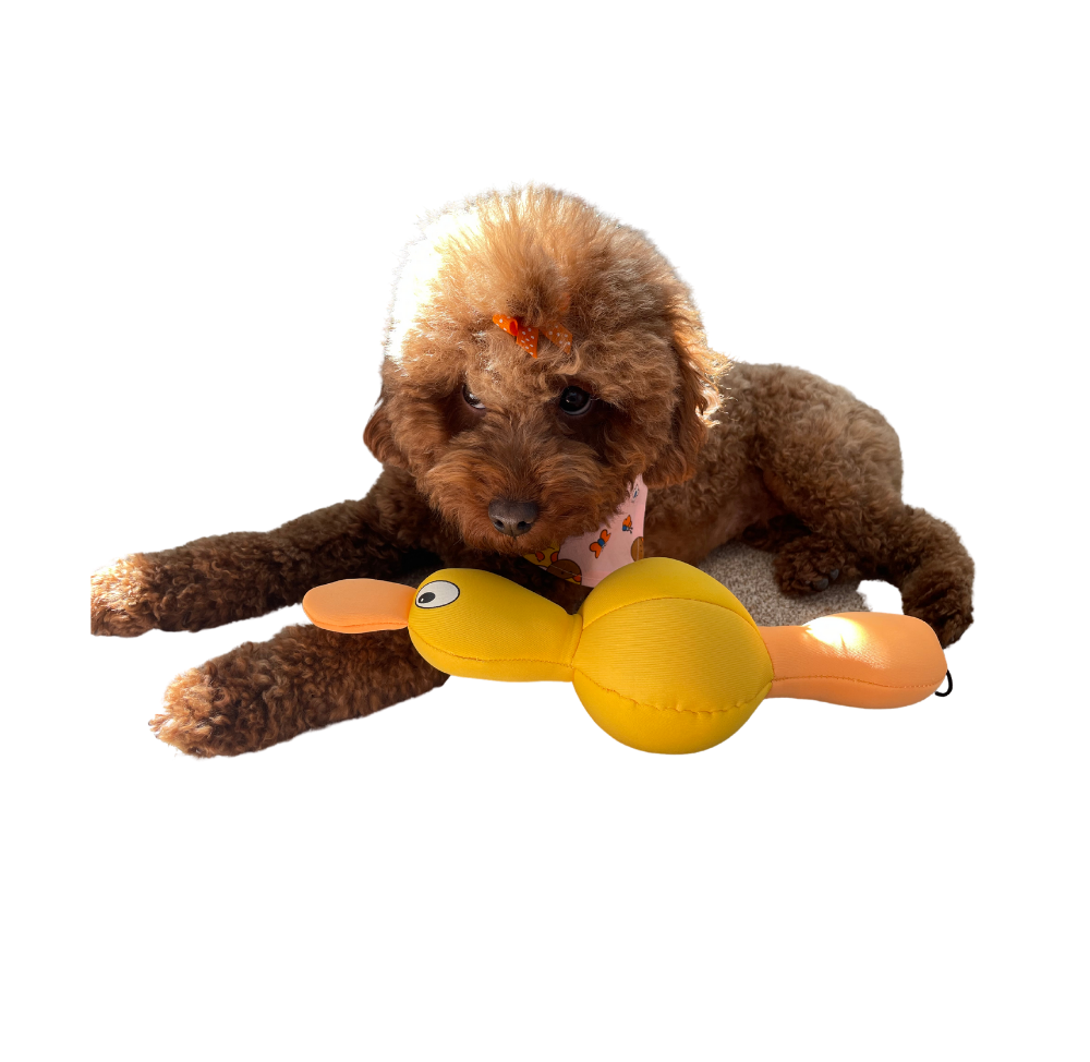 Billipets 浮水狗玩具｜鴨子 30cm・水上互動