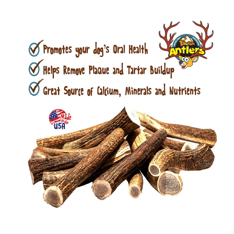 Tibetan Whole Antler Small