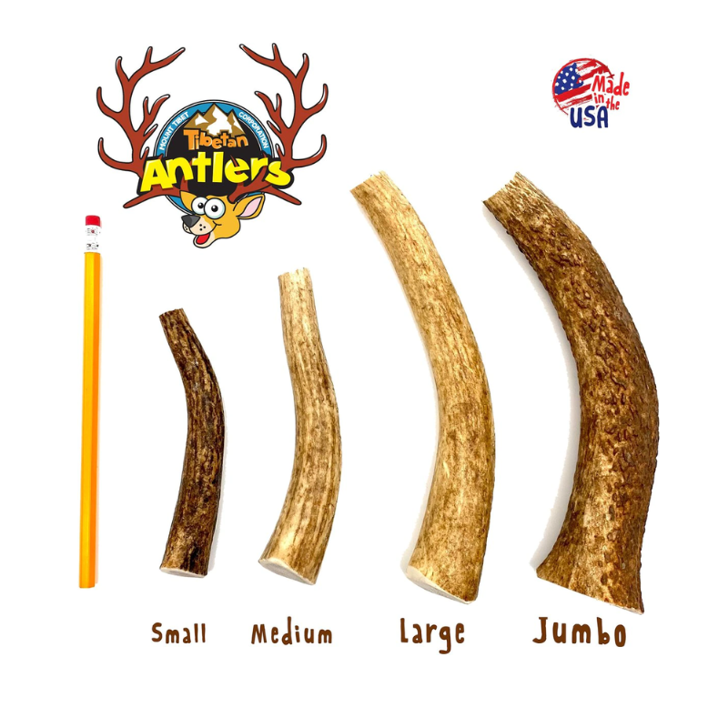 Tibetan Split Antler Large